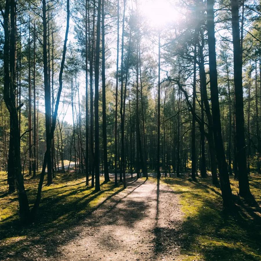 Wioslowka - Domek Nad Morzem Gdansk Ngoại thất bức ảnh